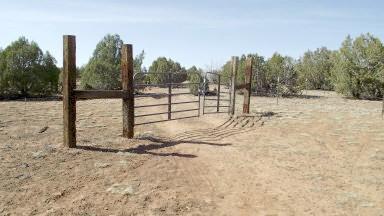 0 Poppy Road Ash Fork, AZ 86320 - Photo 1 of 5 Primary Photo