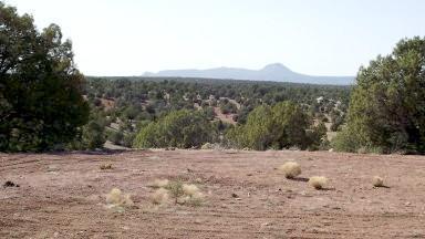 0 Poppy Road Ash Fork, AZ 86320 - Photo 5 of 5 Additional Photo