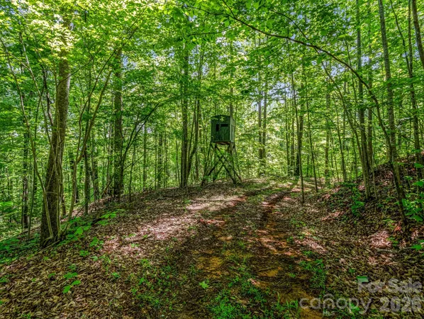 $1,990,000 | 980 Mountain Forest Drive, Bostic, NC 28018