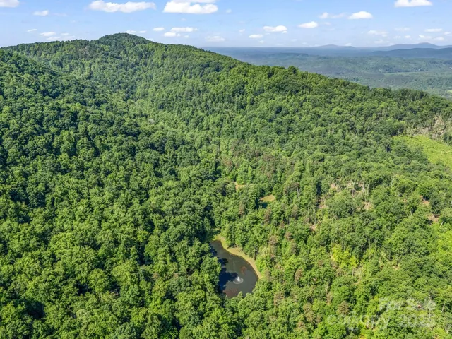 a view of a lush green field