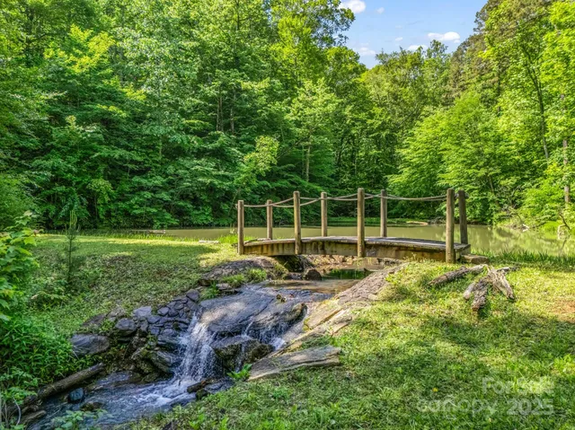 a view of a yard with a large tree