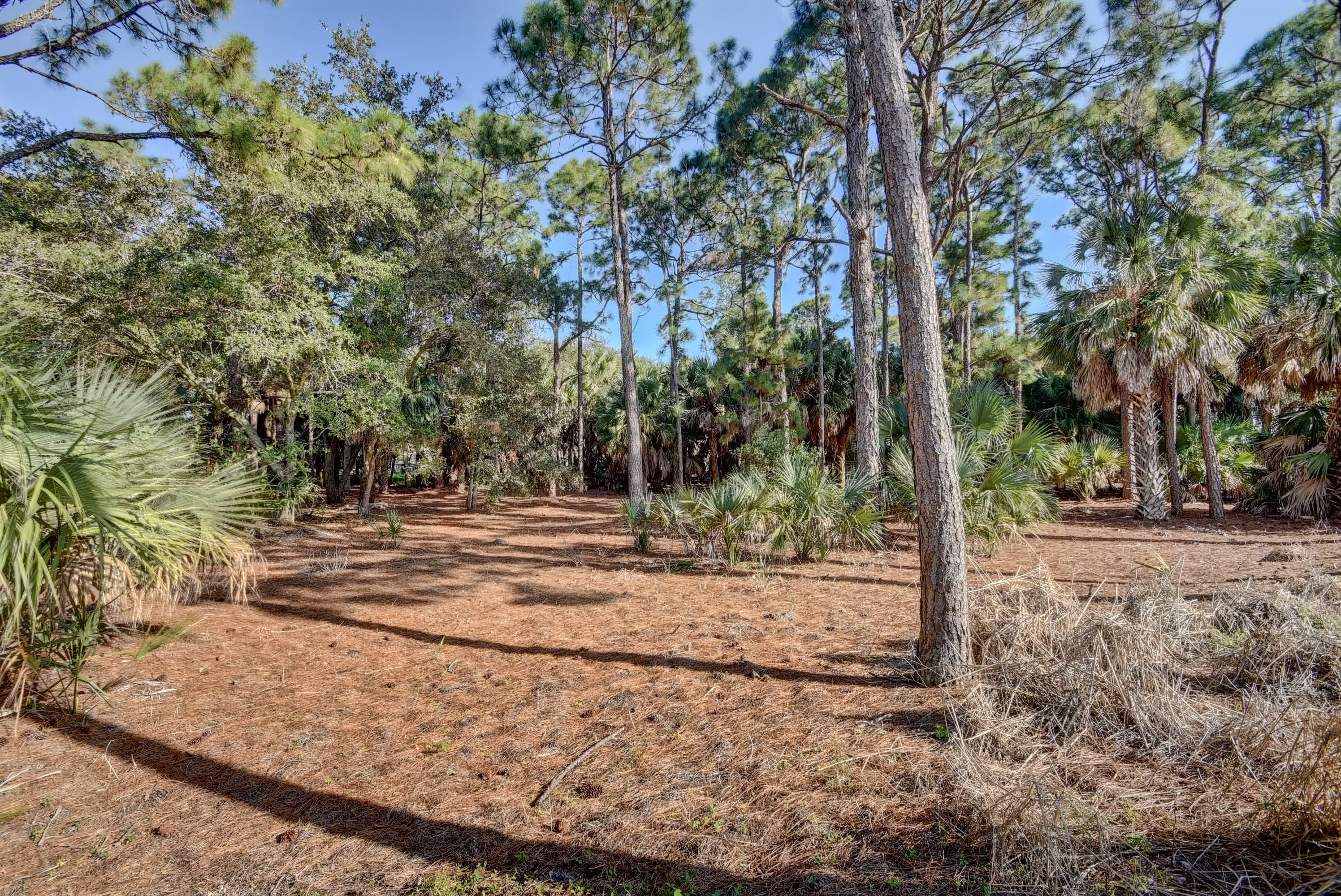 8331 Bermuda Sound Way Boynton Beach, FL 33436 - Photo 22 of 30 25_untitled (25)
