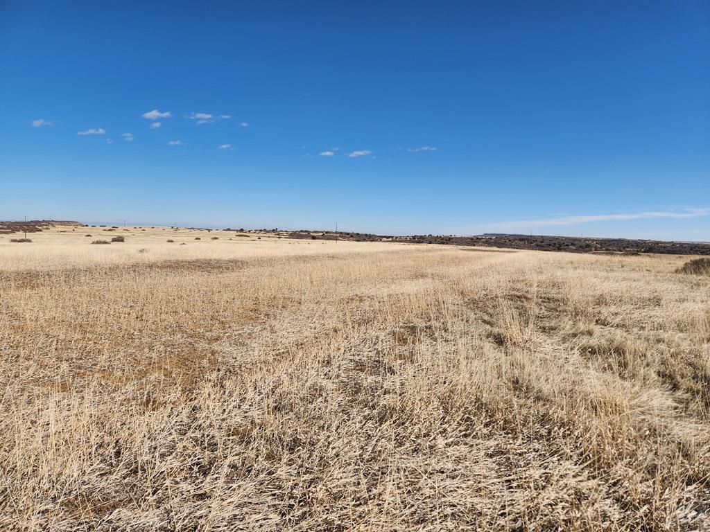 Tbd Moon Drive Rye, CO 81069 - Photo 4 of 7
