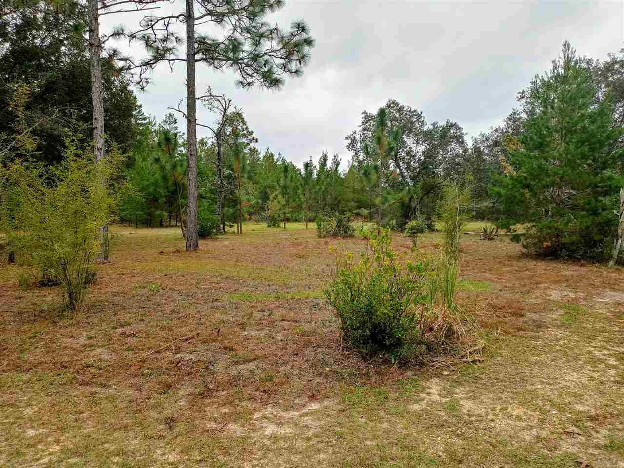 12399 Cooper Road Harold, FL 32564 - Photo 1 of 15 Gallery Image 1