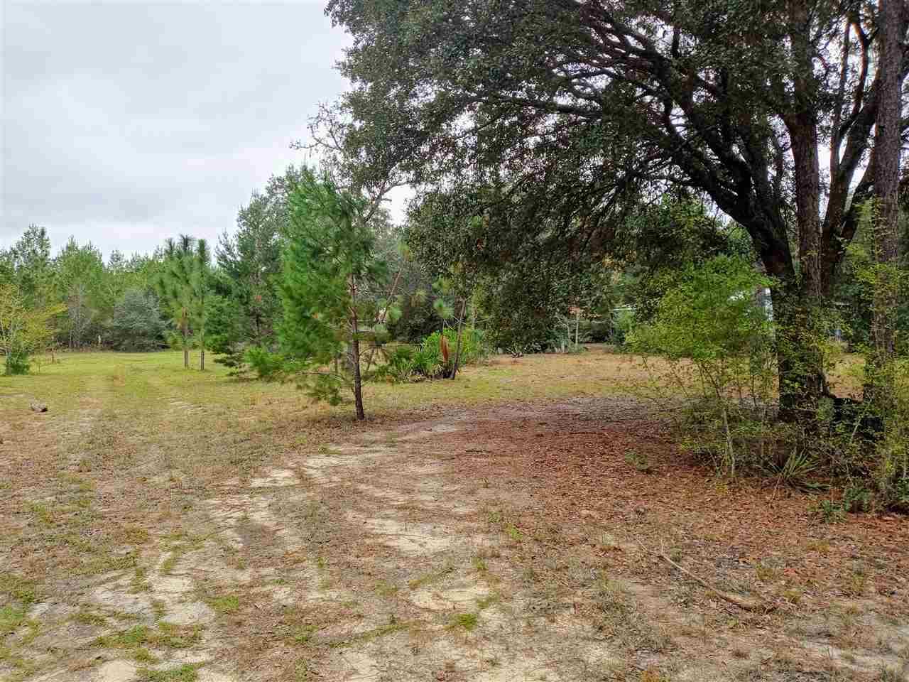 12399 Cooper Road Harold, FL 32564 - Photo 3 of 15 Gallery Image 3