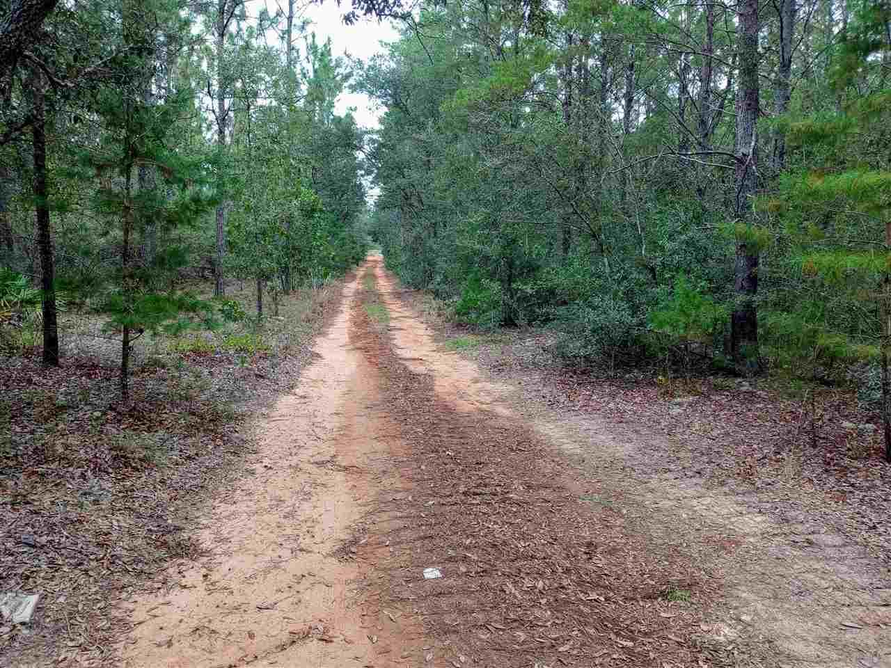12399 Cooper Road Harold, FL 32564 - Photo 5 of 15 Gallery Image 5