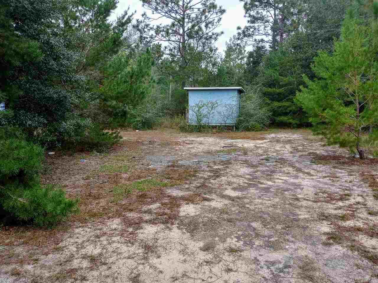 12399 Cooper Road Harold, FL 32564 - Photo 6 of 15 Gallery Image 6