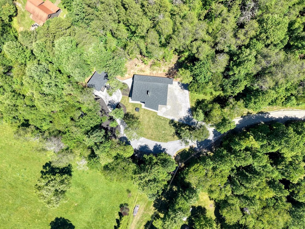 500 Williamstown Road Mineral Bluff, GA 30559 - Photo 69 of 71 Aerial View