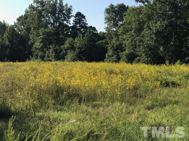 Lot 2 Brintle Road Reidsville, NC 27320 - Photo 8 of 10 Gallery Image 8