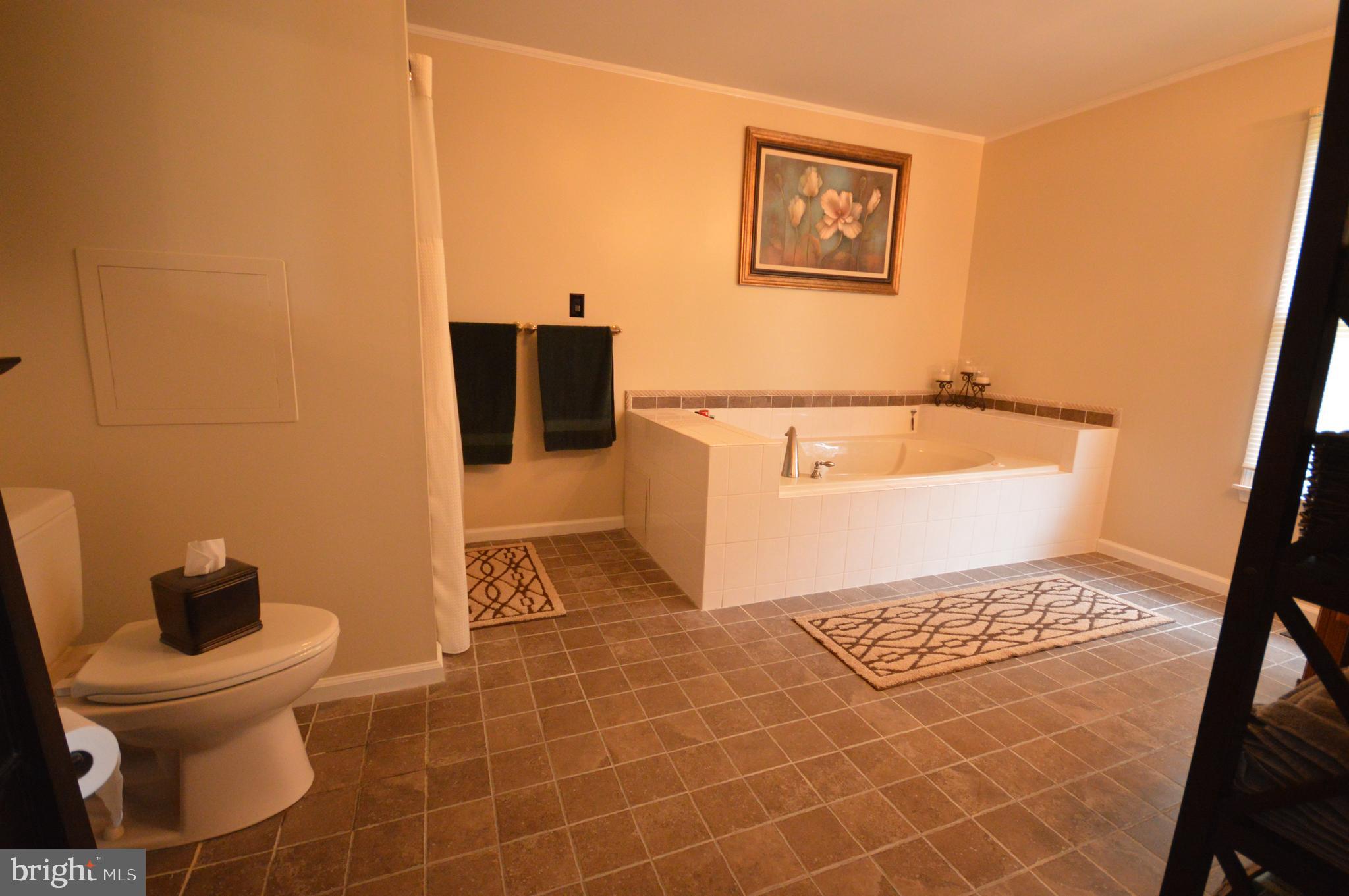 101 Game Trail Road Falling Waters, WV 25419 - Photo 35 of 74