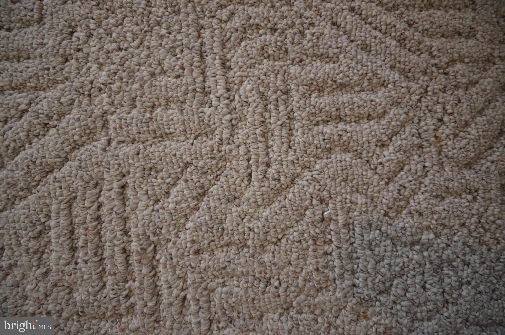 101 Game Trail Road Falling Waters, WV 25419 - Photo 47 of 74