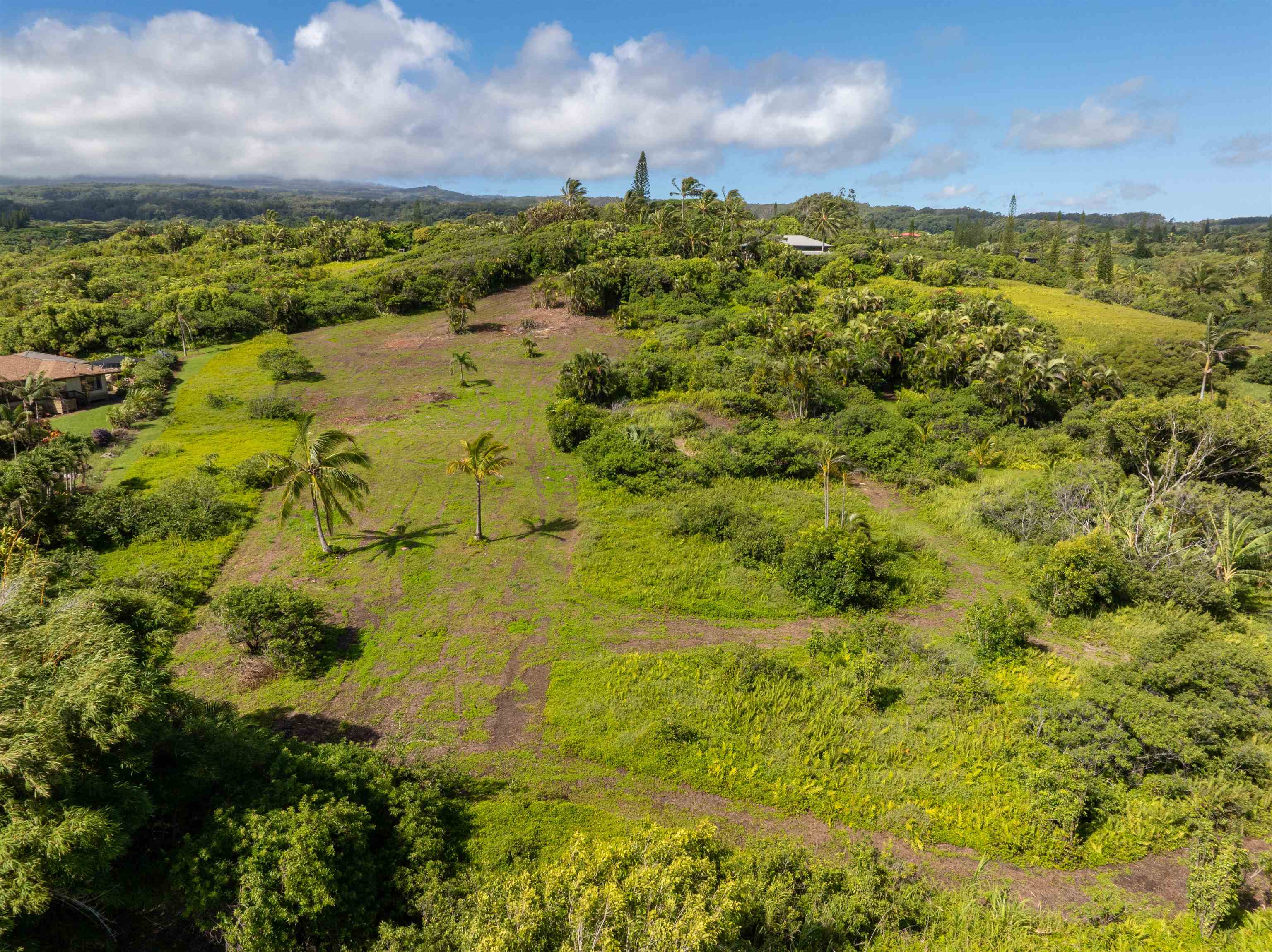 601 North Honokala Road, Unit A Haiku, HI 96708 - Photo 13 of 26