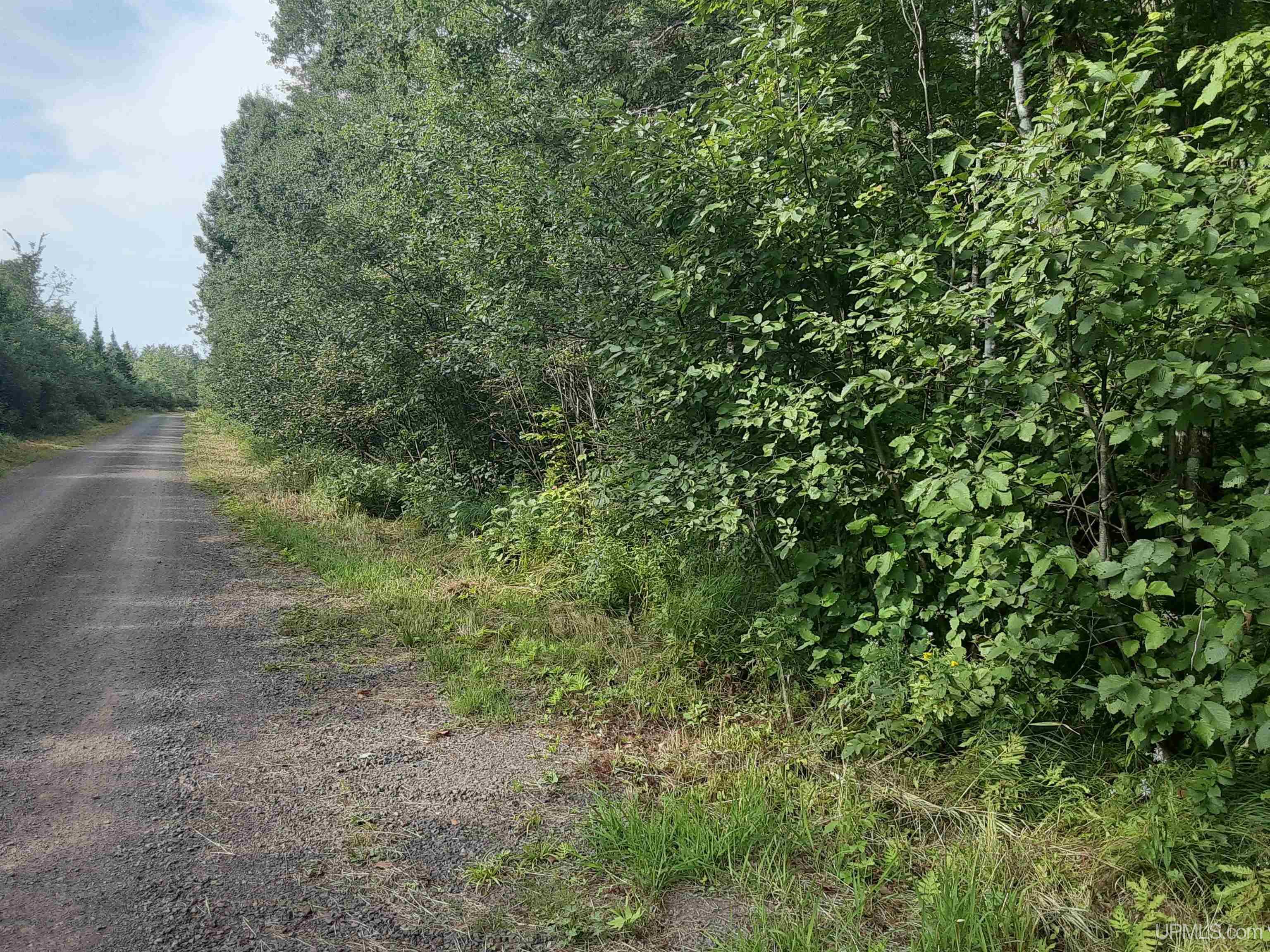 C-wi Flowage Road Hurley, WI 54534 - Photo 2 of 10
