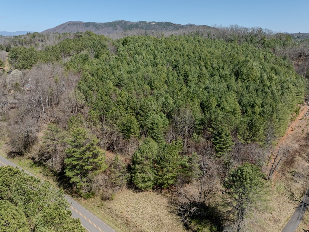 8-acres Old Murphy Road Murphy, NC 28906 - Photo 4 of 10