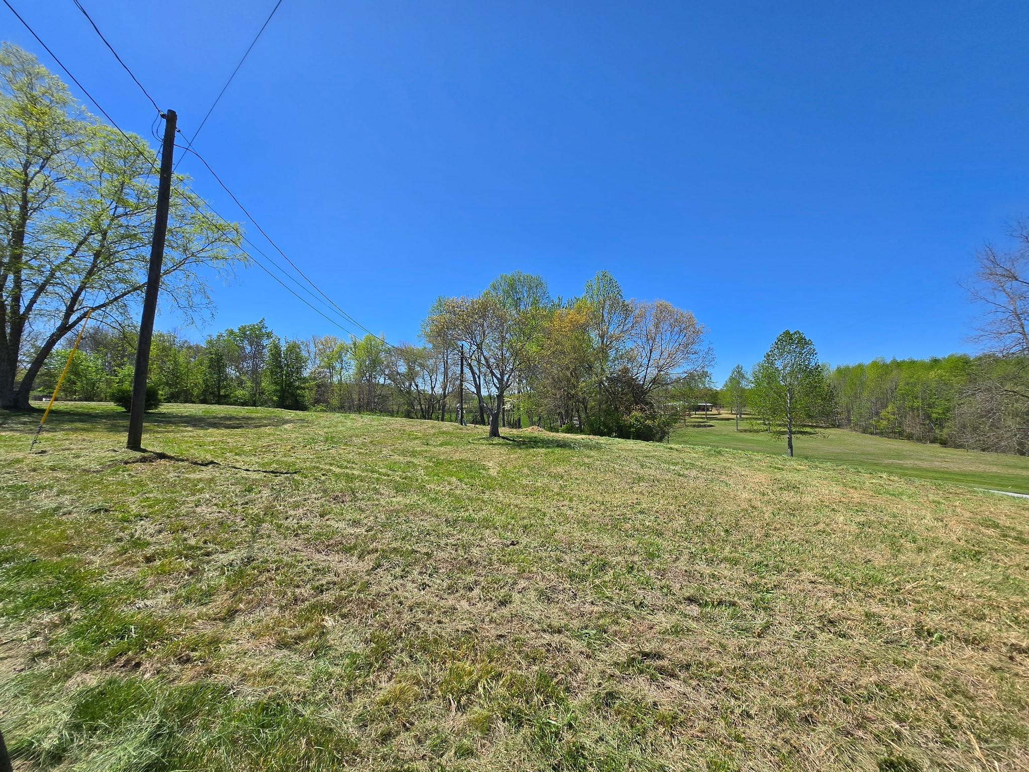 2439 Bethany Road McMinnville, TN 37110 - Photo 2 of 6 a view of a field with an trees