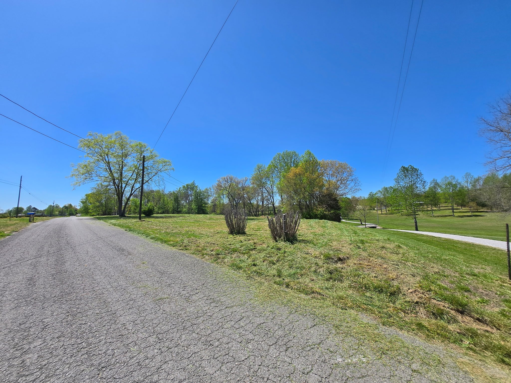 2439 Bethany Road McMinnville, TN 37110 - Photo 3 of 6 a view of a field of grass and trees