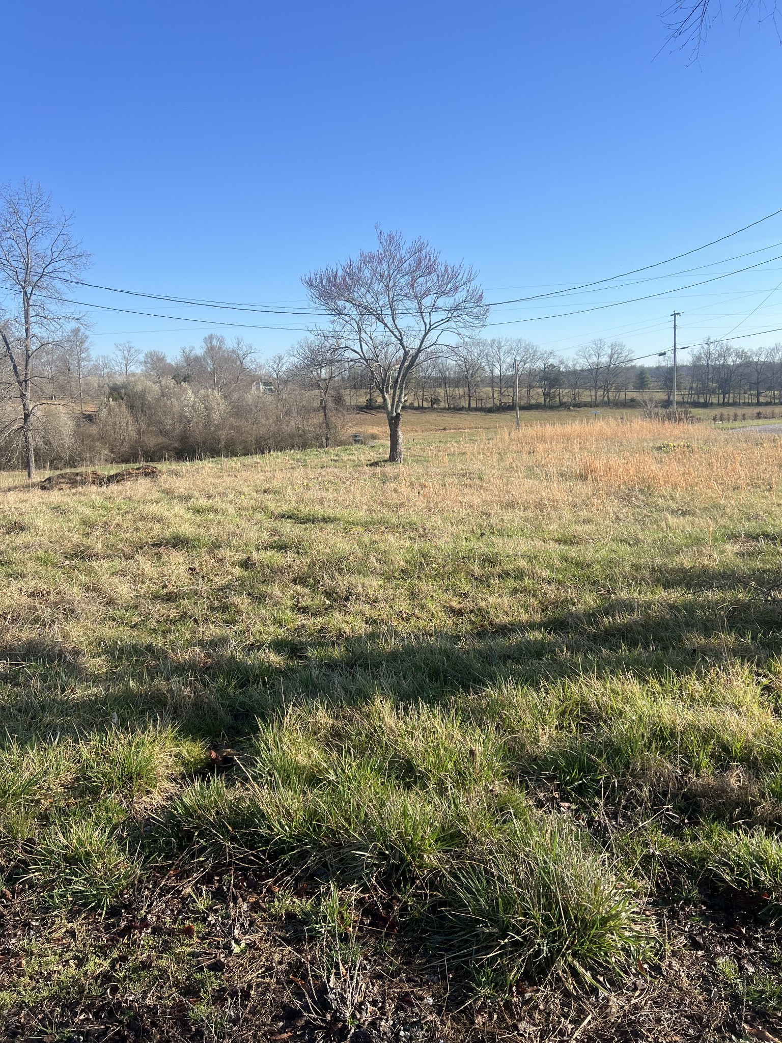 2439 Bethany Road McMinnville, TN 37110 - Photo 4 of 6 a view of lake