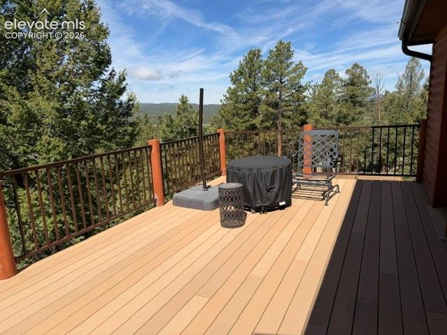 269 Southpark Road Florissant, CO 80816 - Photo 28 of 37