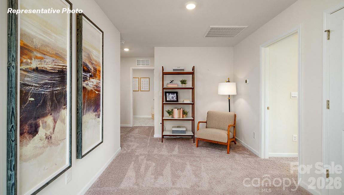 1058 Two Brothers Lane York, SC 29745 - Photo 29 of 30
