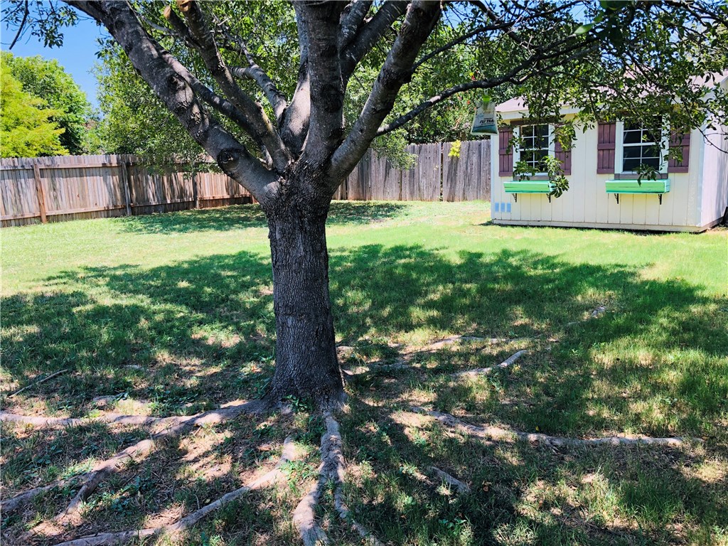 2317 Butler Way Round Rock, TX 78665 - Photo 26 of 27