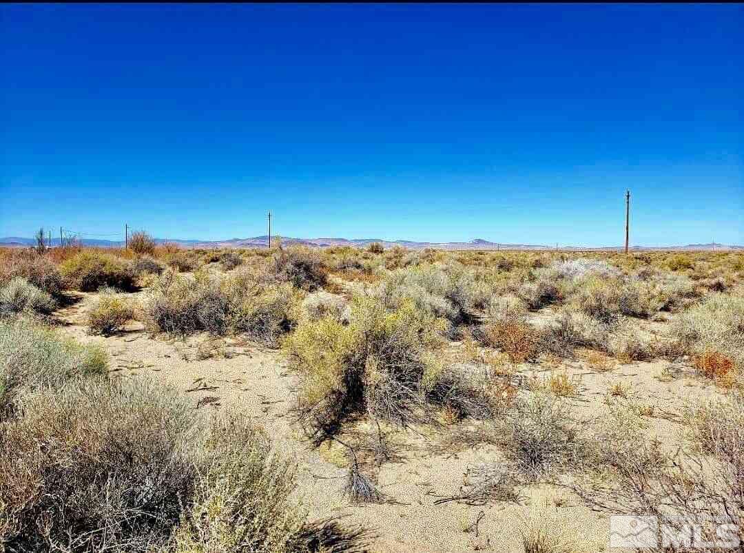 4970 Soda Lake Road Fallon, NV 89406 - Photo 7 of 12 a view of a pathway with a yard
