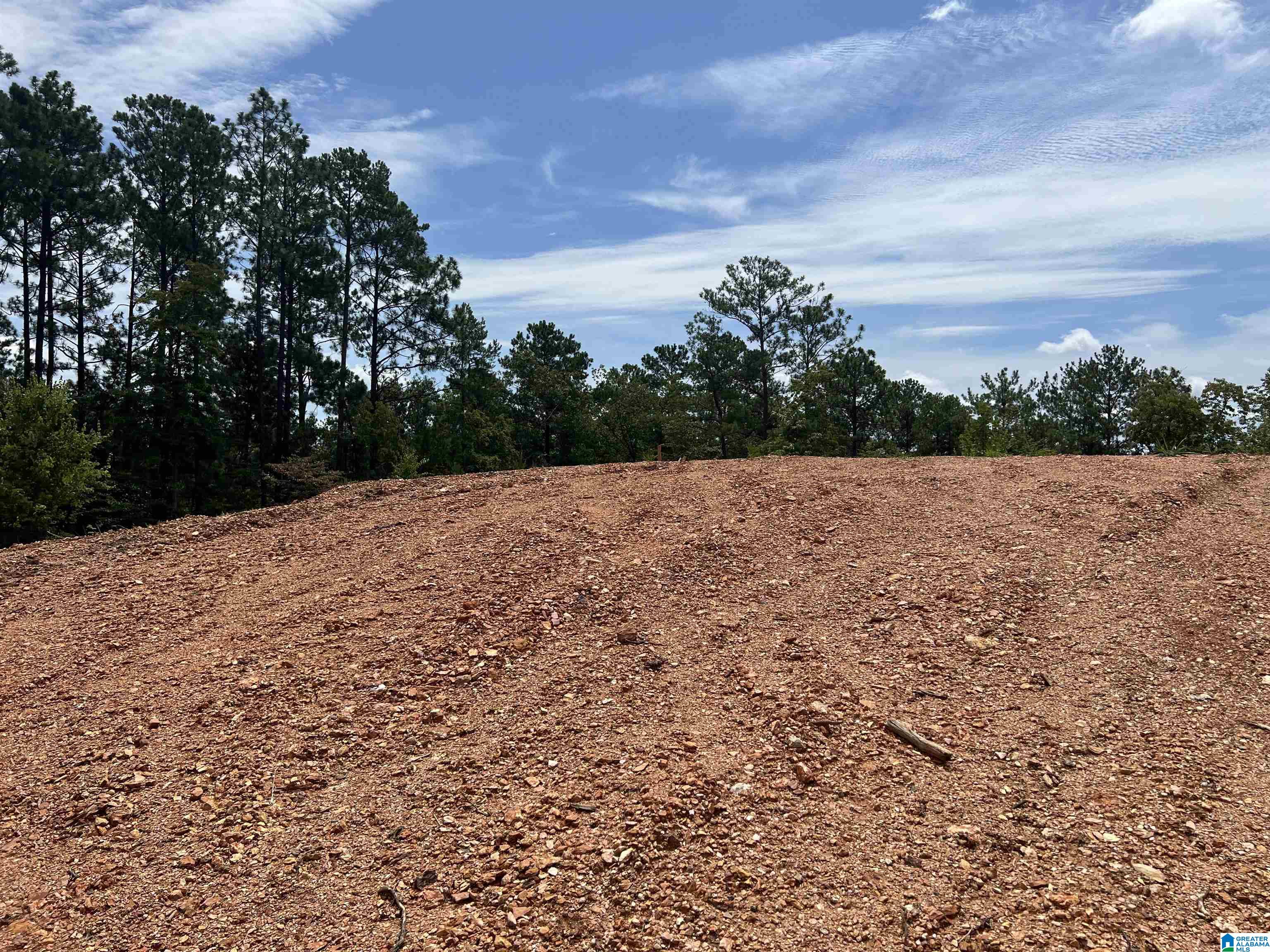 0 County Road 188 Clanton, AL 35046 - Photo 15 of 20