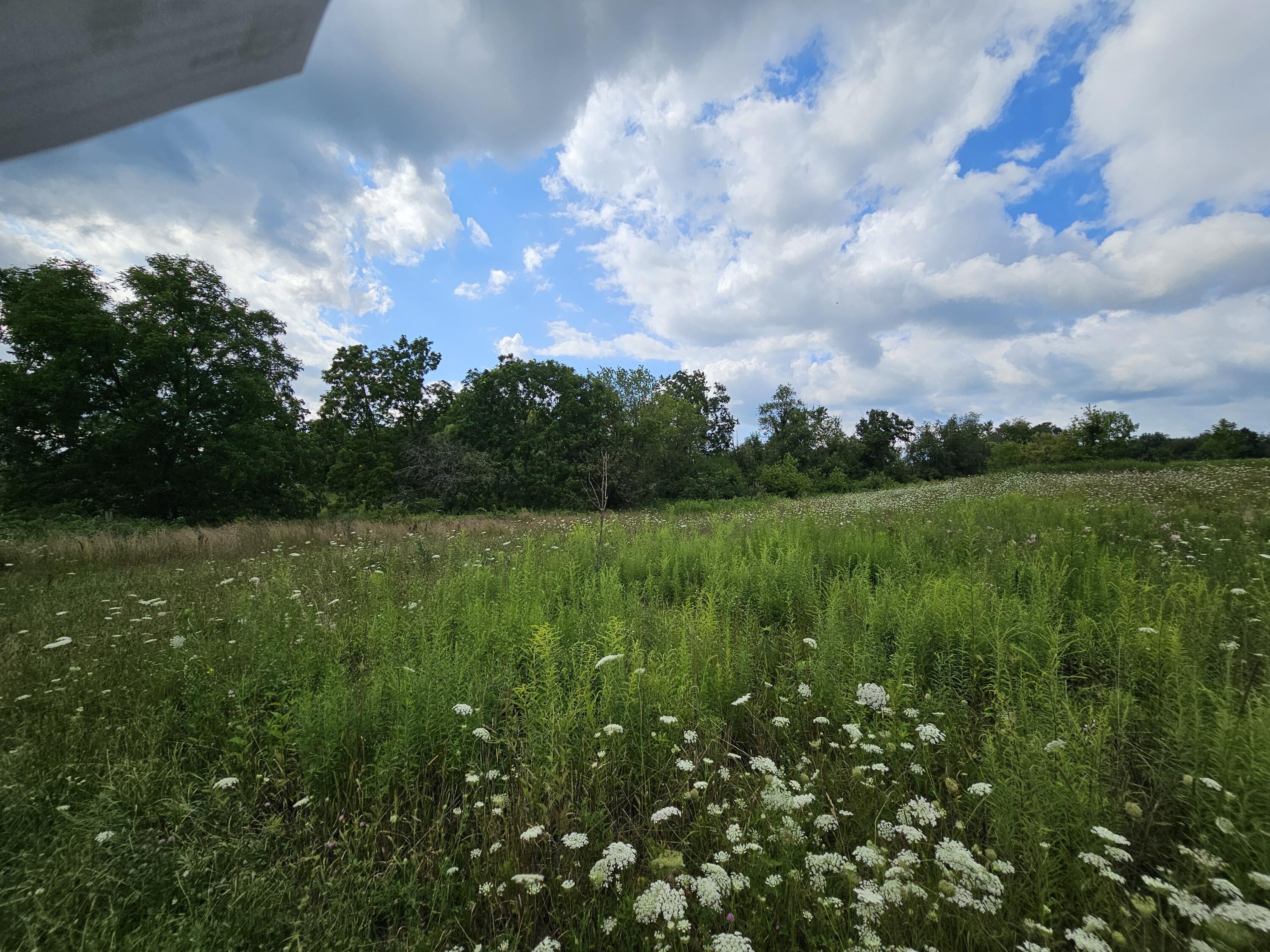 8475 Ross Road Muir, MI 48860 - Photo 17 of 36 Ross Rd