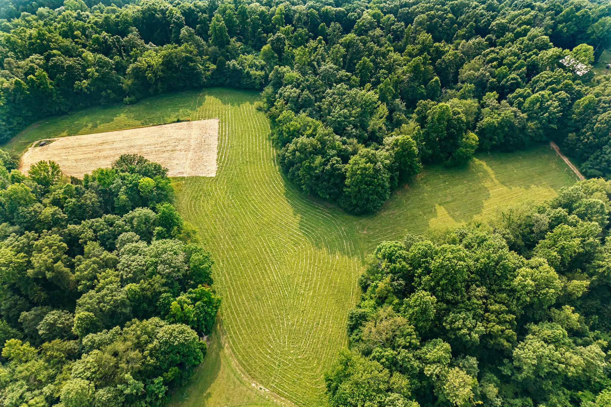 935 Keytown Road Portland, TN 37148 - Photo 47 of 51