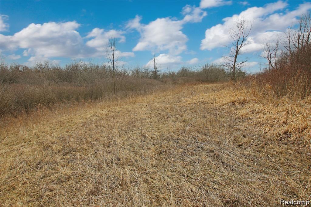7037 Dutch Road Goodrich, MI 48438 - Photo 86 of 93 86) Backyard.jpg
