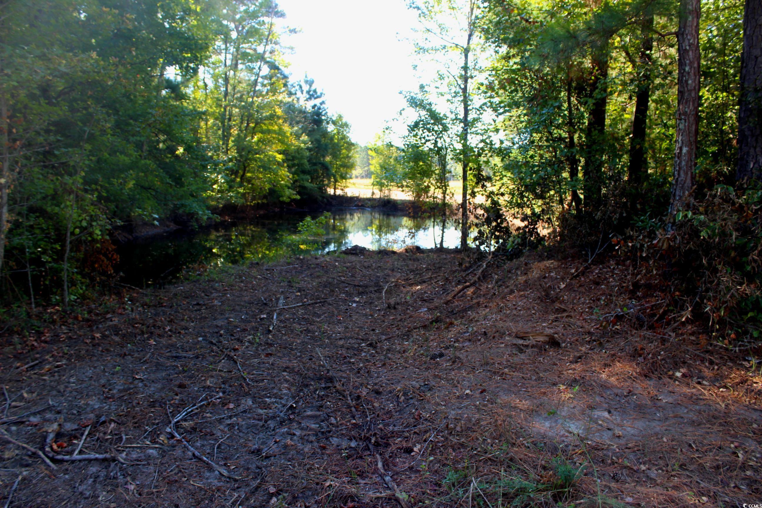 1-tbd Dew Rd 1-tbd Dew Road Marion, SC 29571 - Photo 24 of 29 Gallery Image 24