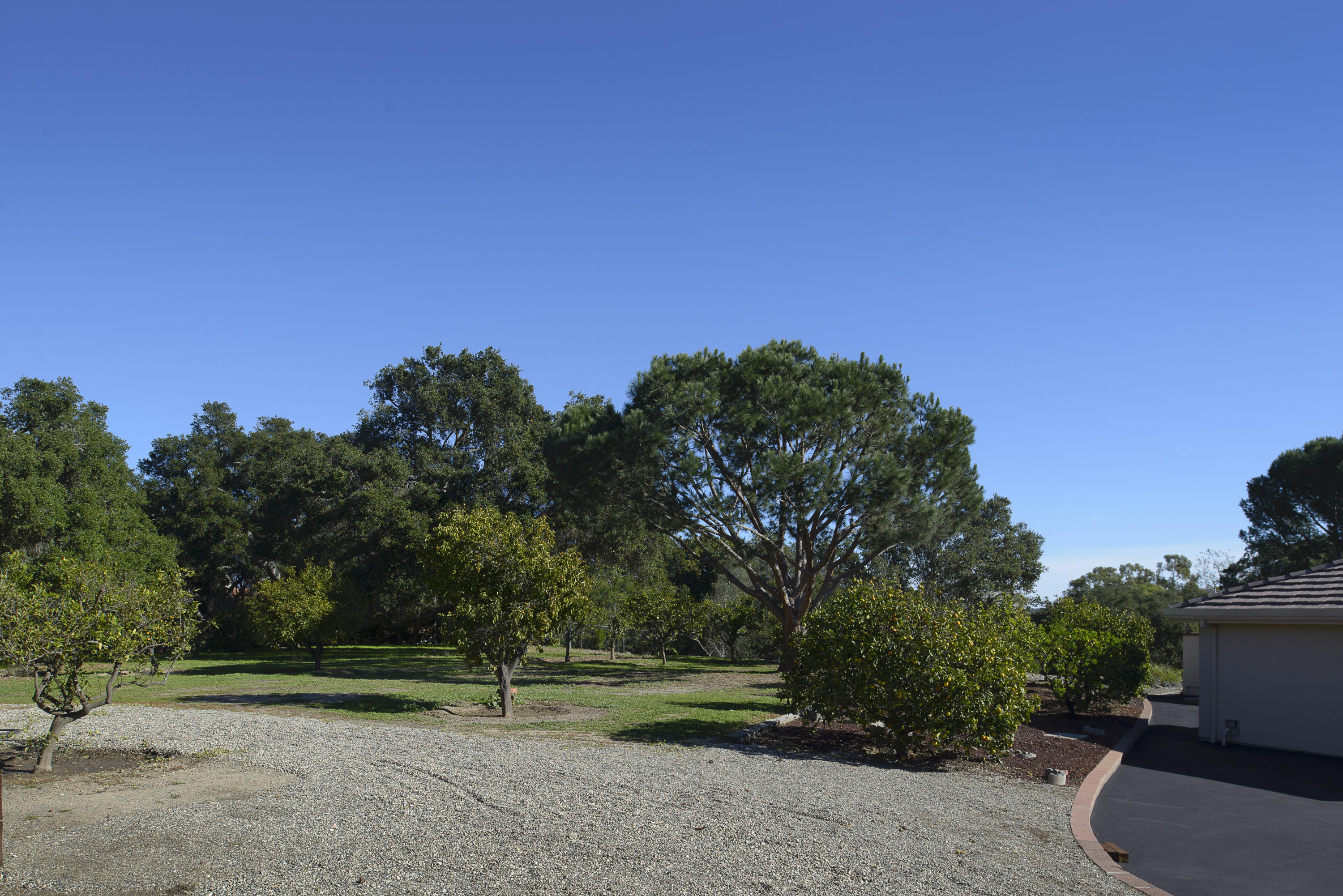 4460 Via Alegre Santa Barbara, CA 93110 - Photo 16 of 18 a garden with trees in front of it