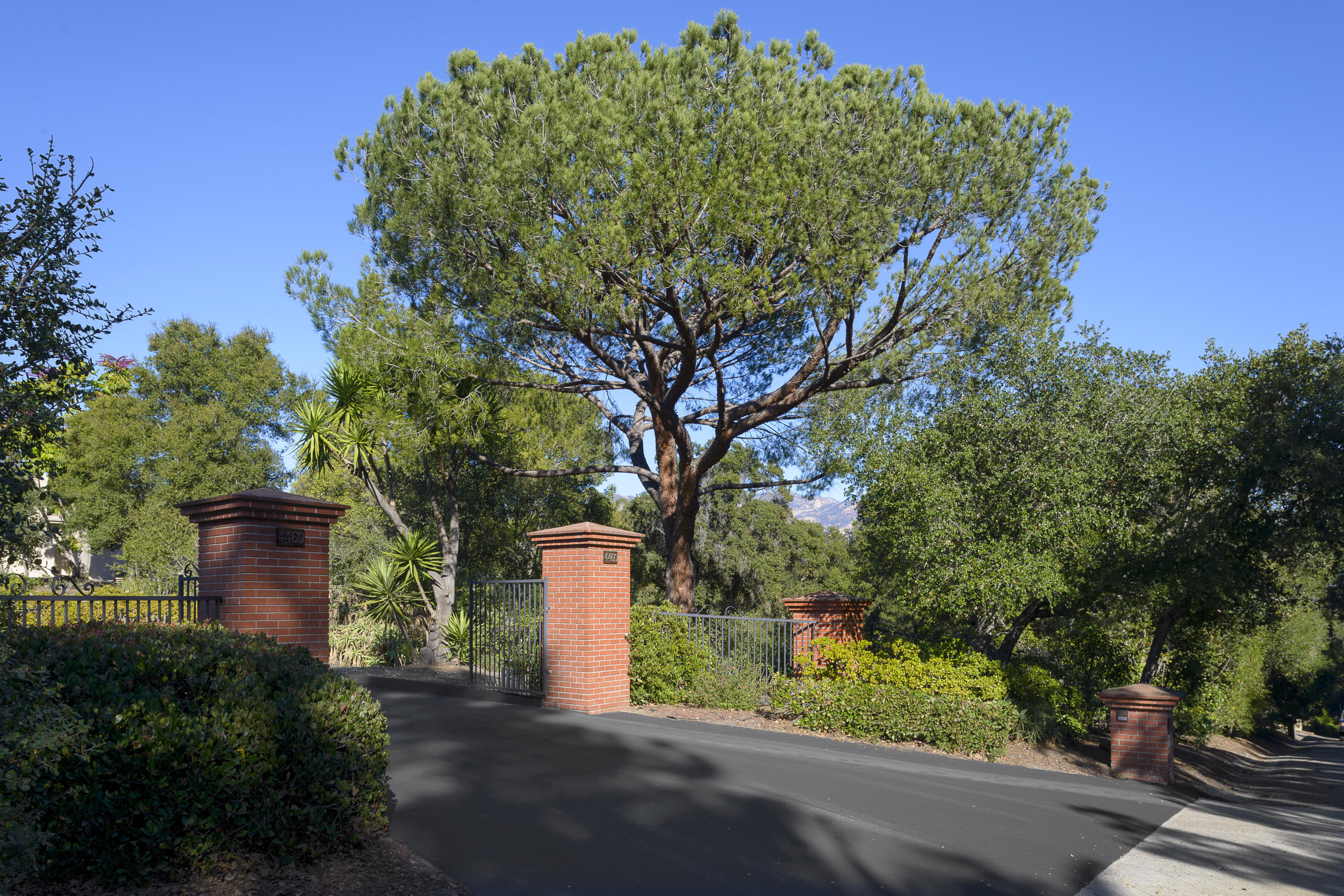 4460 Via Alegre Santa Barbara, CA 93110 - Photo 2 of 18 a picture of a tree with a garden