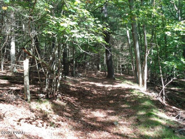 Lot 9 Stabler Road Hawley, PA 18428 - Photo 21 of 30