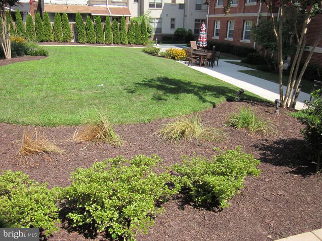 a view of a garden with a bench in the garden
