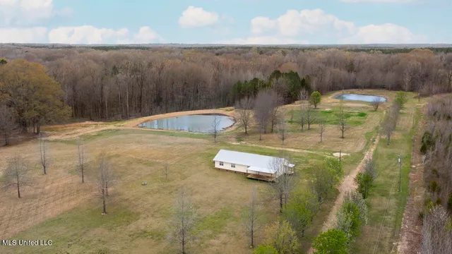 $387,500 | 1144 Little Big Mound Road, Bentonia, MS 39040
