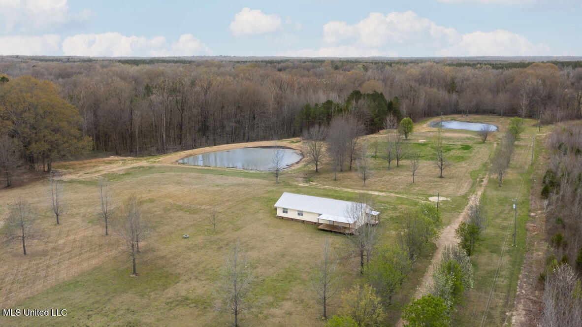 1144 Little Big Mound Road Bentonia, MS 39040 - Photo 28 of 34 EF96736E-1BD0-469E-BD55-AFB522A04C6A_1_1