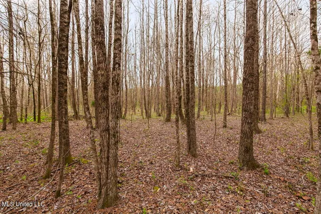 $387,500 | 1144 Little Big Mound Road, Bentonia, MS 39040