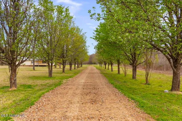 $387,500 | 1144 Little Big Mound Road, Bentonia, MS 39040