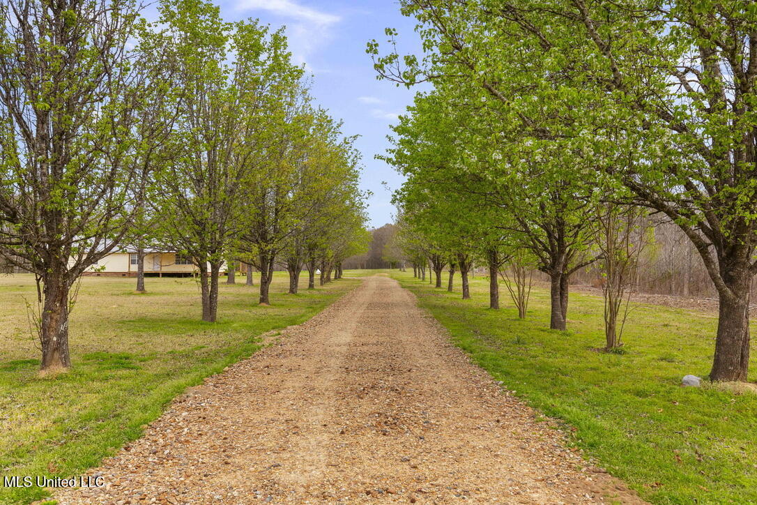 1144 Little Big Mound Road Bentonia, MS 39040 - Photo 3 of 34 C0B779C5-7B2C-4630-9A9C-80B2A77C6BFC_1_1