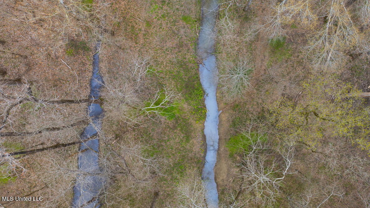 1144 Little Big Mound Road Bentonia, MS 39040 - Photo 31 of 34 07B7C072-EFF2-4F32-8338-595F88B11EA3_1_1