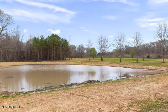 $387,500 | 1144 Little Big Mound Road, Bentonia, MS 39040