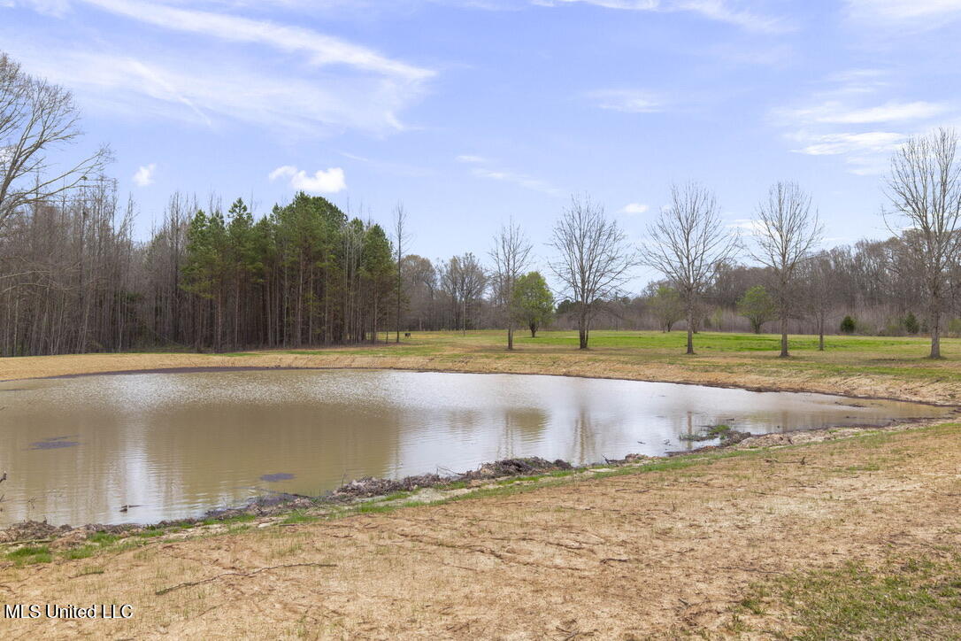 1144 Little Big Mound Road Bentonia, MS 39040 - Photo 9 of 34 A30B6CFE-9D3B-4D67-A85F-75951C1EAB12_1_1