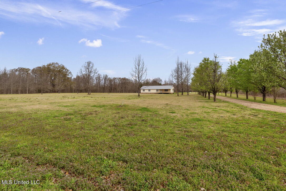 1144 Little Big Mound Road Bentonia, MS 39040 - Photo 10 of 34 E86512AA-CD0D-48A6-BB91-38916BC41881_1_1
