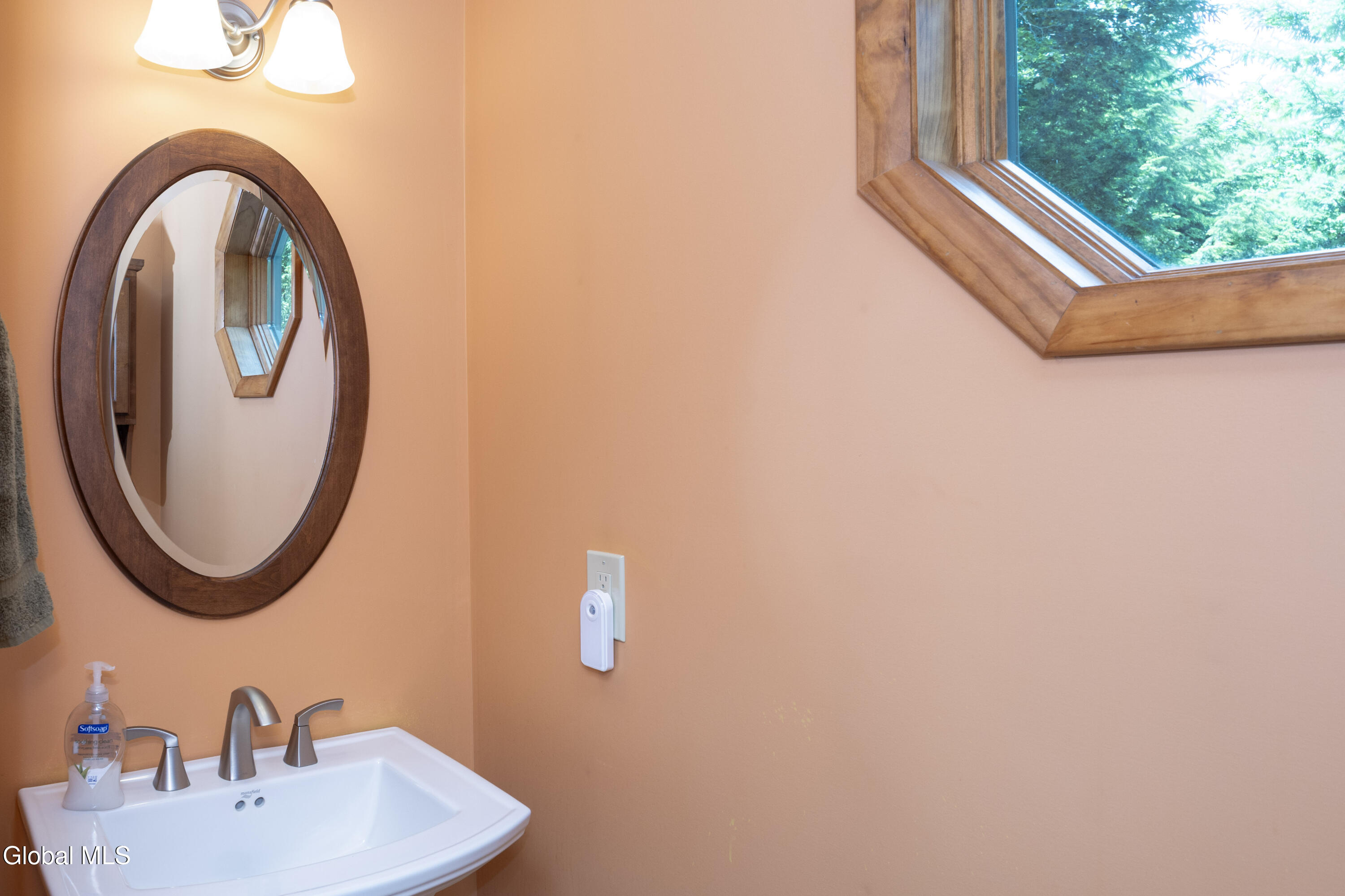 1187 Burden Lake Road Sand Lake, NY 12018 - Photo 23 of 71 10-0D2A3971