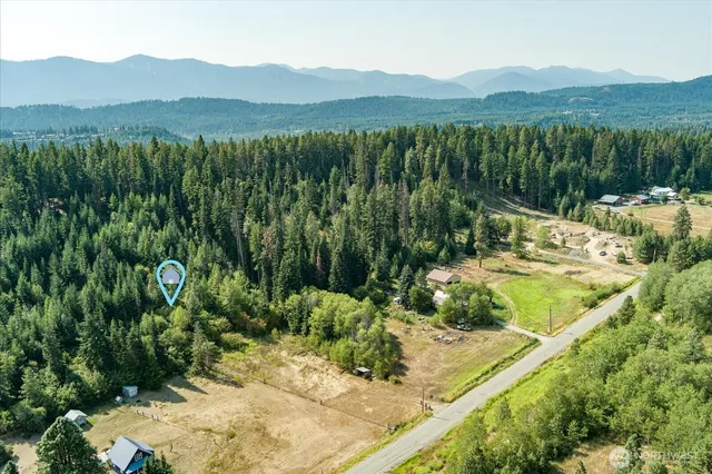 a view of a lush green field with mountains in the background