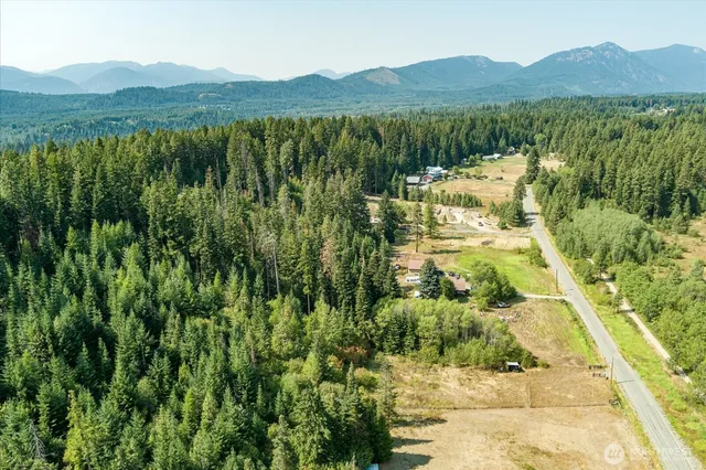 a view of a lush green field with a tree in the background