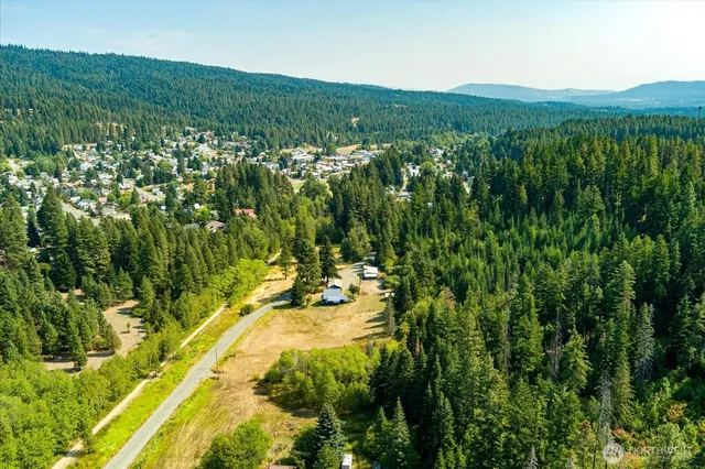 a view of a lush green forest with lots of trees