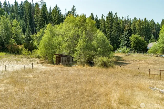 a backyard of a house with a yard and trees