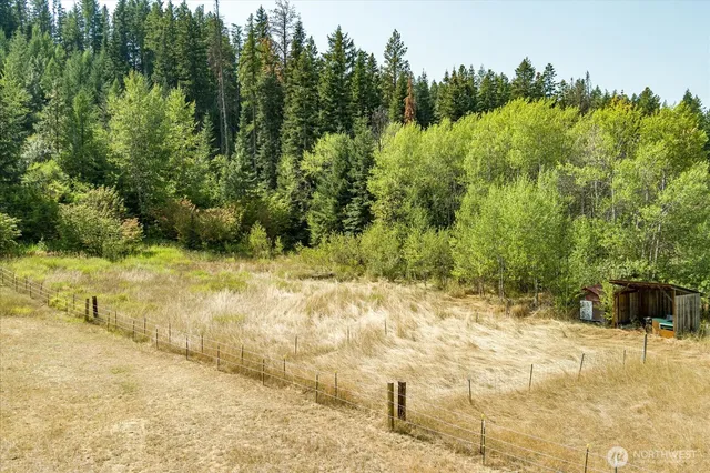 a view of a backyard
