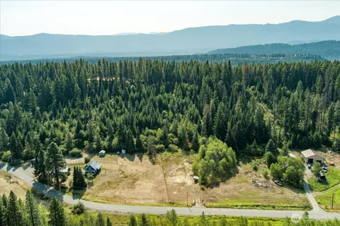 a view of a lush green yard with and trees